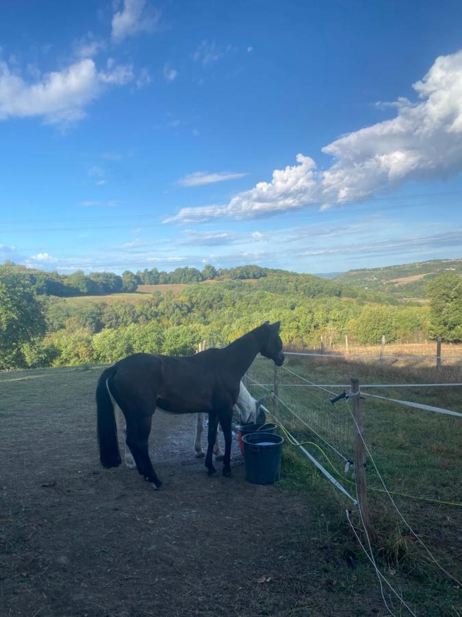 Chez Sophie - Gite Et Gite Equestre Clermont-Dessous Exterior foto